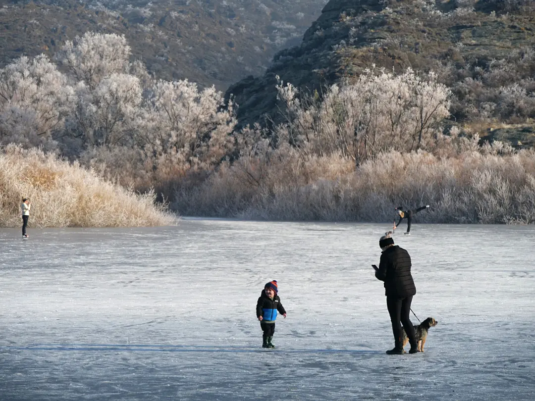 A mother and child with a dog on Manorburn Dam with ice skaters